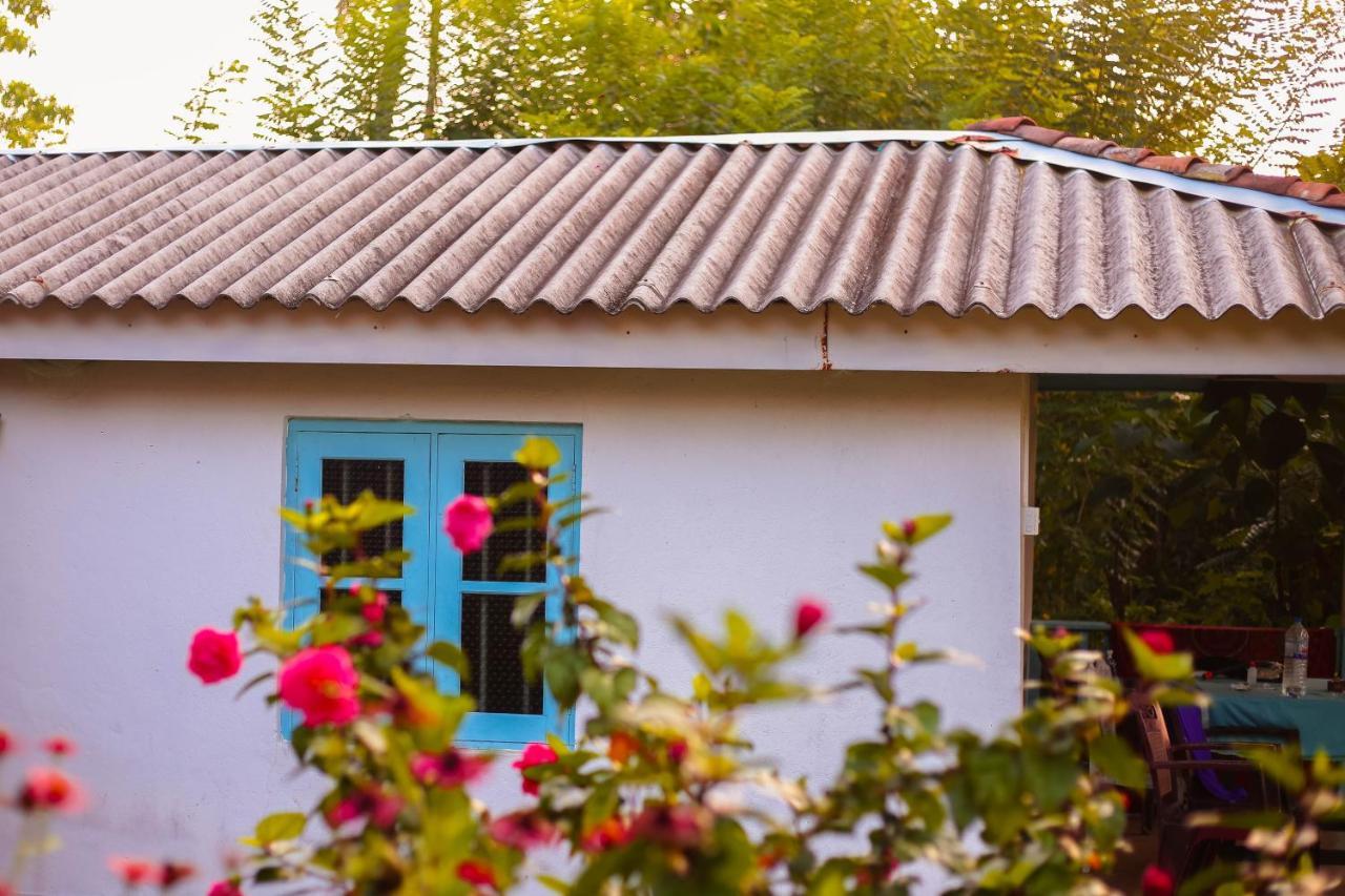 Tehan Homestay Dikwella Kültér fotó