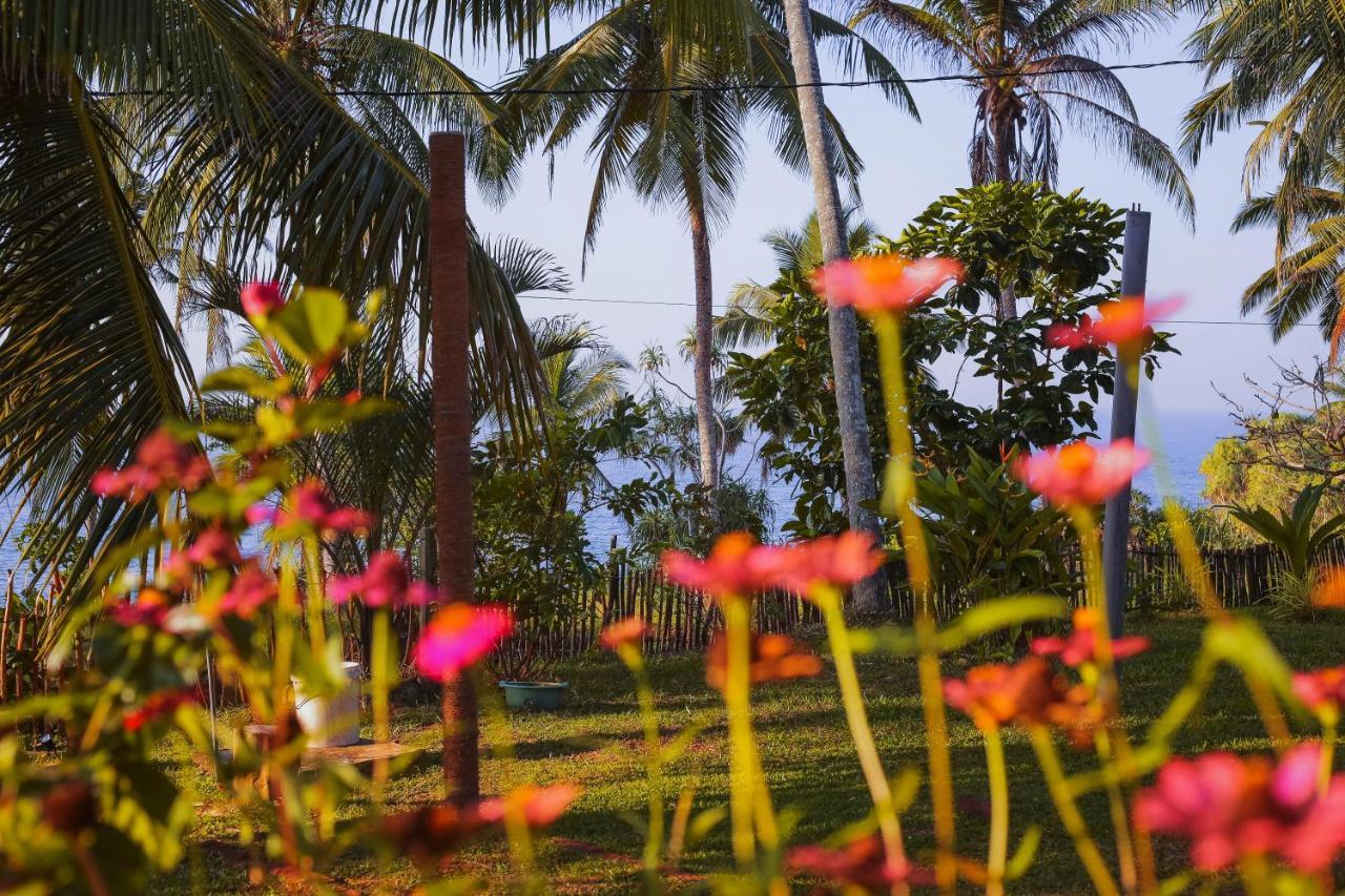 Tehan Homestay Dikwella Kültér fotó